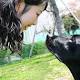 La scienza del legame tra esseri umani e cani - Wired.it