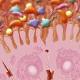 Realizzato in Israele un test del respiro per scovare il cancro allo ... - TGCOM