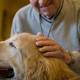 All'aeroporto di Genova la Pet Therapy per chi ha paura di volare - 24hlive