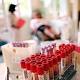 Regione: andate a donare il sangue prima delle ferie - SavonaNews.it