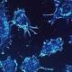 Tumori: scoperto codice per disattivare cellule malate - AGI - Agenzia Giornalistica Italia
