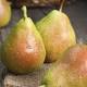 Etosssichina vietata dalla frutta italiana - BenessereBlog.it (Blog)