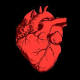Il pacemaker del futuro sarà alimentato dallo stesso cuore - Benessere - Guidone.it