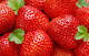 Le fragole sono antiallergiche - Italiasalute.it