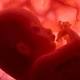 Arriva la super-amniocentesi, svela il DNA fetale e l'80% delle malattie - Rai News