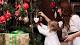 Feste con tosse e starnuti? Forse è colpa dell'albero di Natale - Quotidiano.net
