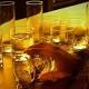 Giovani, binge drinking sempre più diffuso Ma è così diverso dall ... - Corriere della Sera