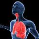 Tumori in futuro per fumatori test allerta precoce cancro polmone - Padova News