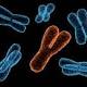 Il fumo cancella il cromosoma maschile Y - Tiscali