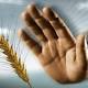 Gluten Detector, dispositivo rivoluzionario per celiaci - MondialiBrasile.com