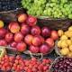 Più frutta, più vita: altri 200 grammi al giorno, meno 20mila decessi ... - TGCOM