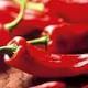 Il testosterone è alto negli uomini che amano mangiare piccante - Baritalia News