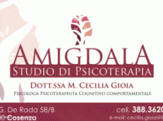 Amigdala Studio di Psicoterapia