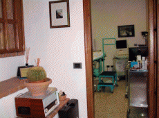 Immagine dello studio