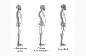 Studio Di Terapia Manuale Osteopatica E Posturologia: atteggiamenti posturali
