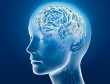 Nello Studio si effettuano visite specialistiche per la valutazione e il trattamento dei principali disturbi psichici. Trattamento del Disturbo Bipolare, Disturbi d’ansia e dell’umore, Disturbi di personalità ecc.
Si riceve per appuntamento