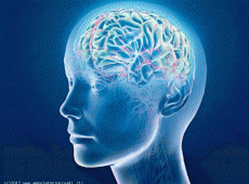 Nello Studio si effettuano visite specialistiche per la valutazione e il trattamento dei principali disturbi psichici. Trattamento del Disturbo Bipolare, Disturbi d’ansia e dell’umore, Disturbi di personalità ecc.
Si riceve per appuntamento