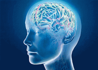 Nello Studio si effettuano visite specialistiche per la valutazione e il trattamento dei principali disturbi psichici. Trattamento del Disturbo Bipolare, Disturbi d’ansia e dell’umore, Disturbi di personalità ecc.
Si riceve per appuntamento