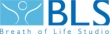 Logo Breath of Life, Centro di Osteopatia, Fisioterapia e Medicina funzionale