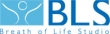 Logo Breath of Life, Centro di Osteopatia, Fisioterapia e Medicina funzionale