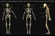 Postura linee di equilibro